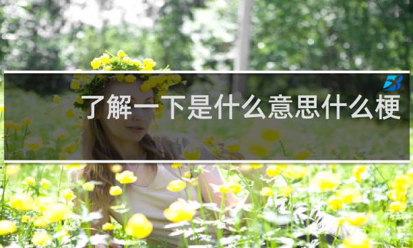 了解一下是什么意思什么梗