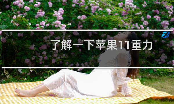 了解一下苹果11重力感应设置的位置