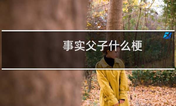 事实父子什么梗