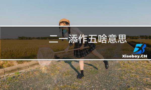 二一添作五啥意思