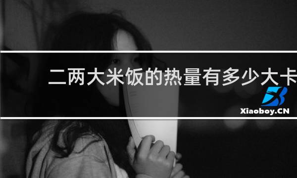 二两大米饭的热量有多少大卡