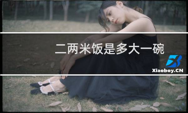 二两米饭是多大一碗