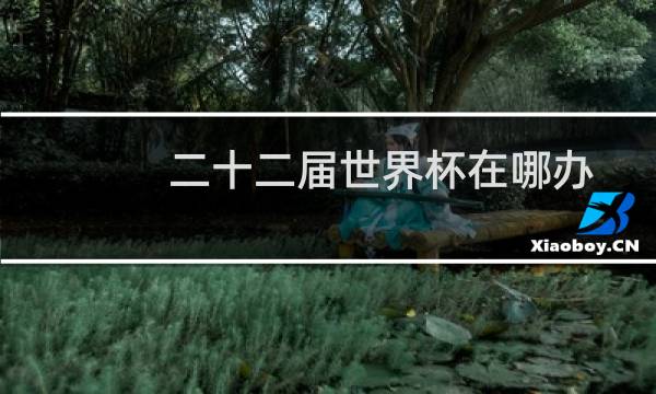 二十二届世界杯在哪办