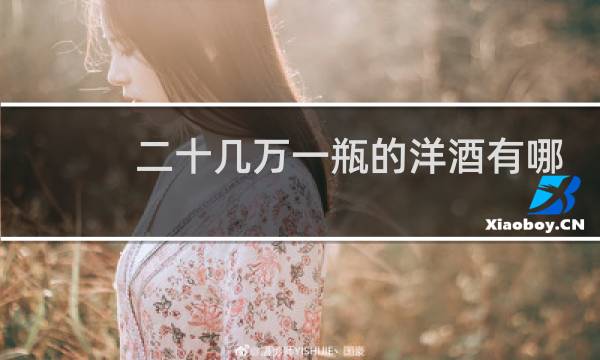 二十几万一瓶的洋酒有哪些图片