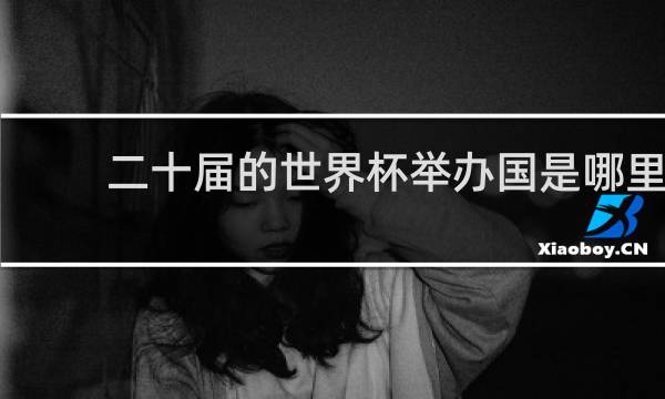 二十届的世界杯举办国是哪里