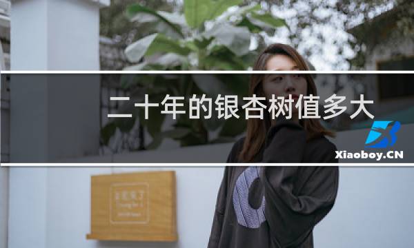 二十年的银杏树值多大