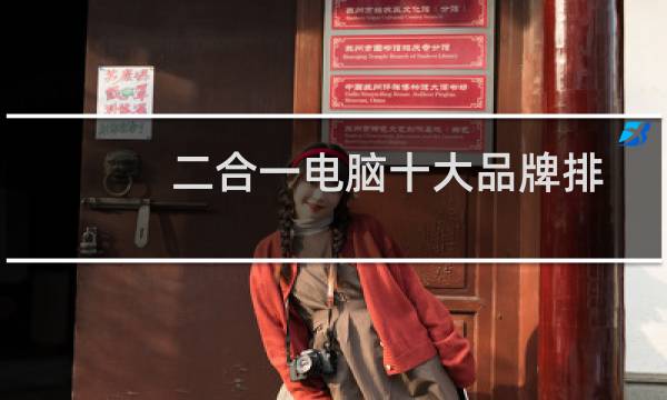 二合一电脑十大品牌排行榜