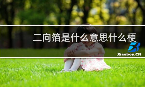 二向箔是什么意思什么梗