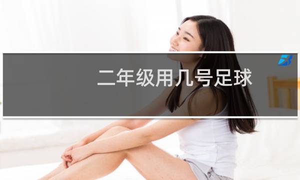 二年级用几号足球