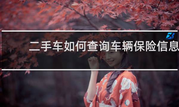 二手车如何查询车辆保险信息