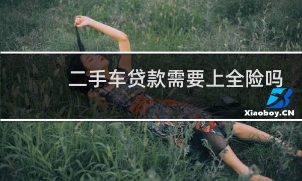 二手车贷款需要上全险吗