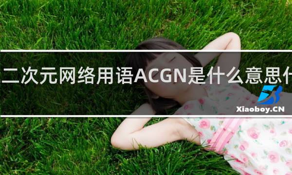 二次元网络用语ACGN是什么意思什么梗
