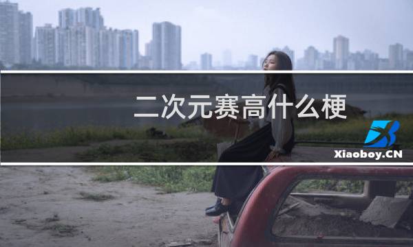 二次元赛高什么梗