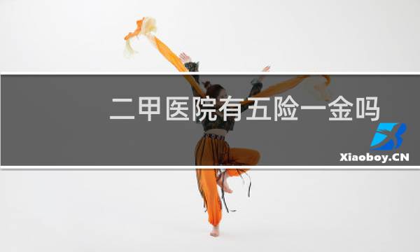 二甲医院有五险一金吗