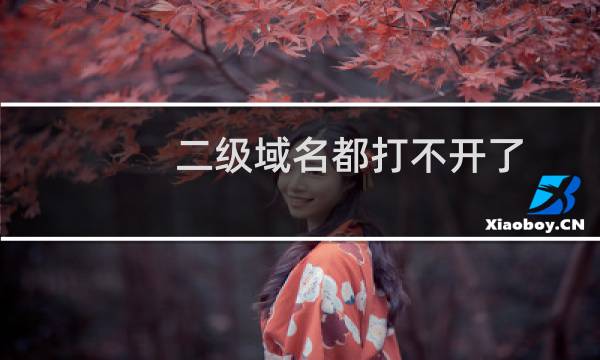 二级域名都打不开了？-云服务器问题