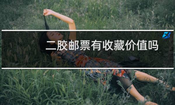 二胶邮票有收藏价值吗