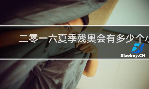二零一六夏季残奥会有多少个小项
