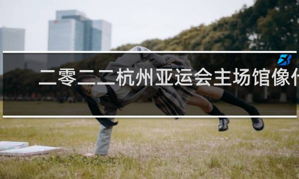 二零二二杭州亚运会主场馆像什么