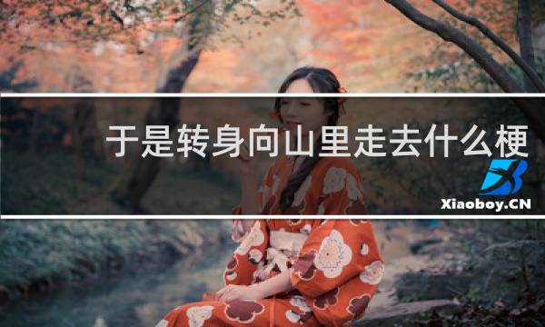 于是转身向山里走去什么梗