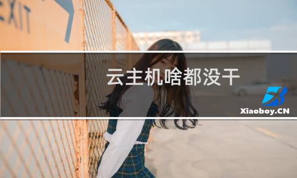 云主机啥都没干,CPU 100%. 远程登录半天才进系统