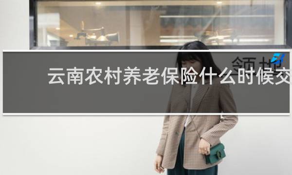 云南农村养老保险什么时候交