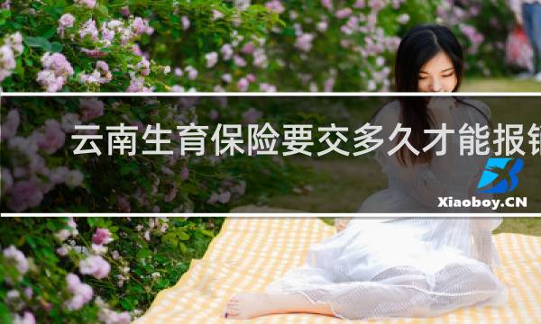 云南生育保险要交多久才能报销