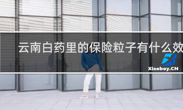 云南白药里的保险粒子有什么效用