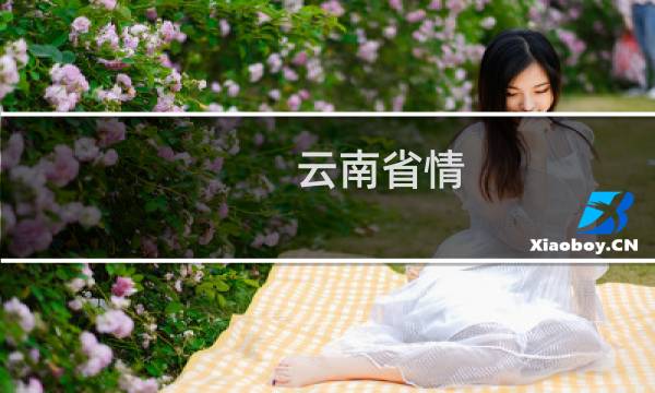 云南省情