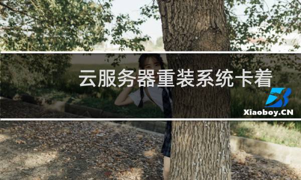 云服务器重装系统卡着不动了