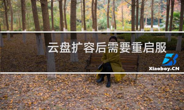 云盘扩容后需要重启服务器吗