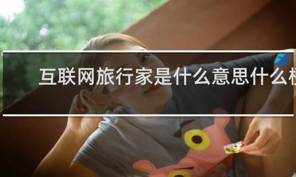 互联网旅行家是什么意思什么梗