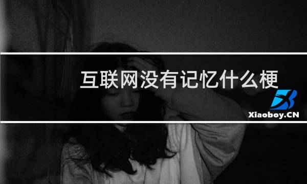互联网没有记忆什么梗