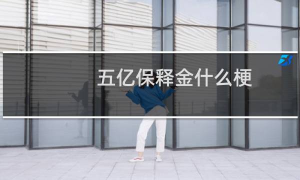 五亿保释金什么梗，五亿保释金是什么意思？什么梗