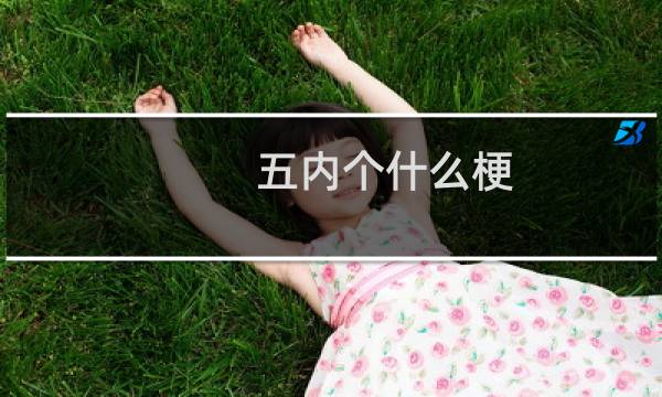 五内个什么梗