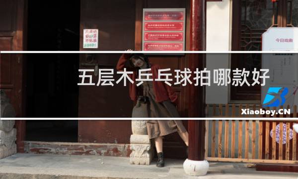 五层木乒乓球拍哪款好
