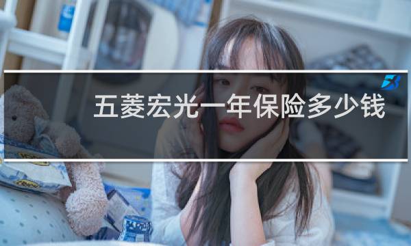 五菱宏光一年保险多少钱