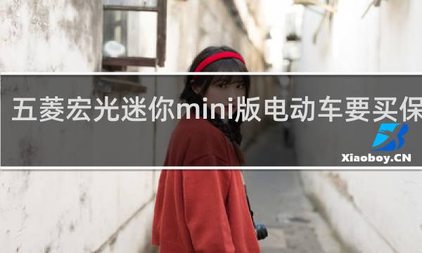 五菱宏光迷你mini版电动车要买保险吗图片