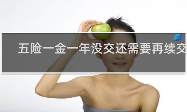 五险一金一年没交还需要再续交吗