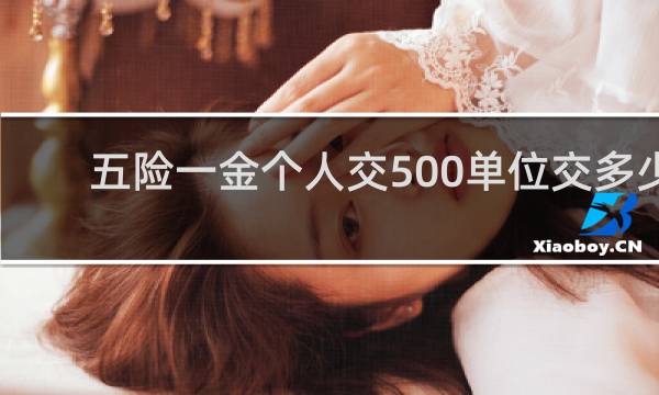 五险一金个人交500单位交多少图片