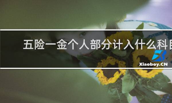 五险一金个人部分计入什么科目