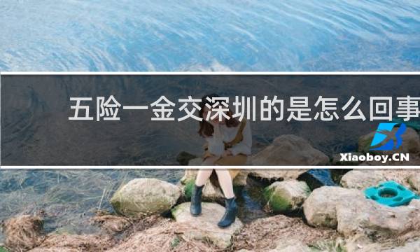 五险一金交深圳的是怎么回事