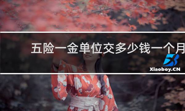 五险一金单位交多少钱一个月