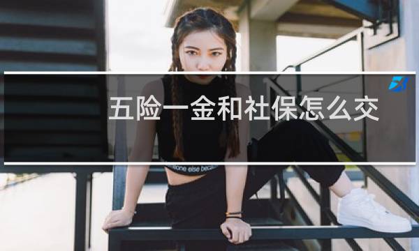 五险一金和社保怎么交