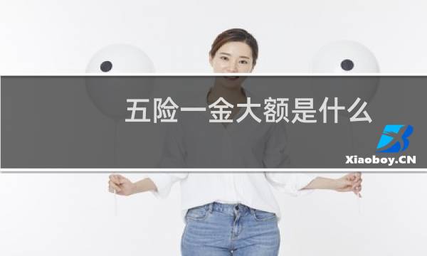 五险一金大额是什么