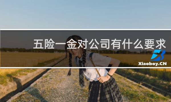 五险一金对公司有什么要求