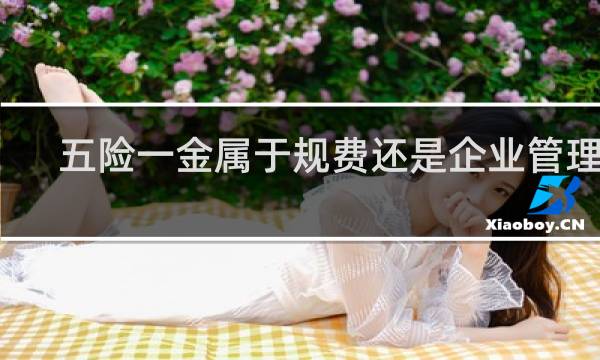 五险一金属于规费还是企业管理费