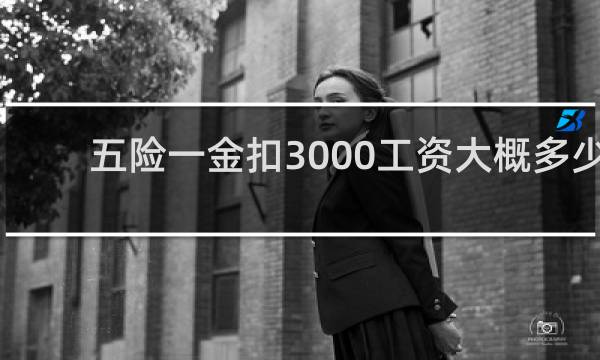 五险一金扣3000工资大概多少图片