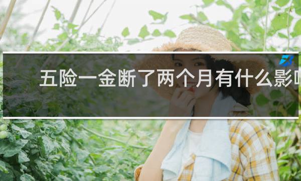 五险一金断了两个月有什么影响