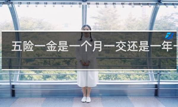 五险一金是一个月一交还是一年一交