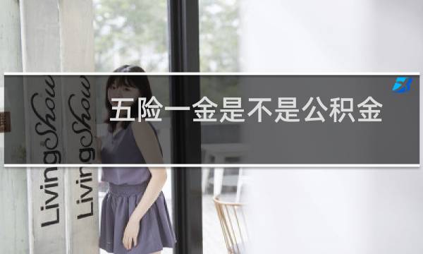 五险一金是不是公积金图片